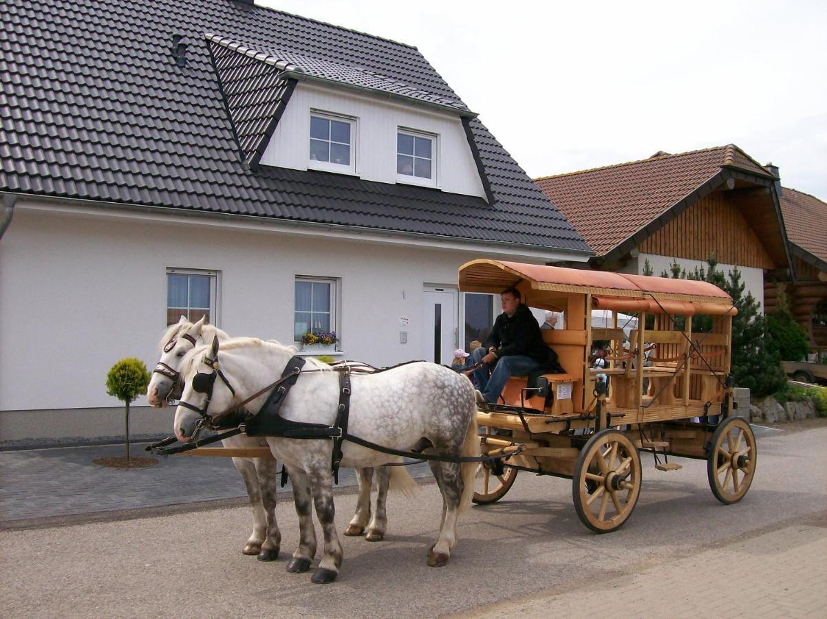 Gastehaus „Haus Am Hahnenberg“ Bed & Breakfast Marmagen Bagian luar foto
